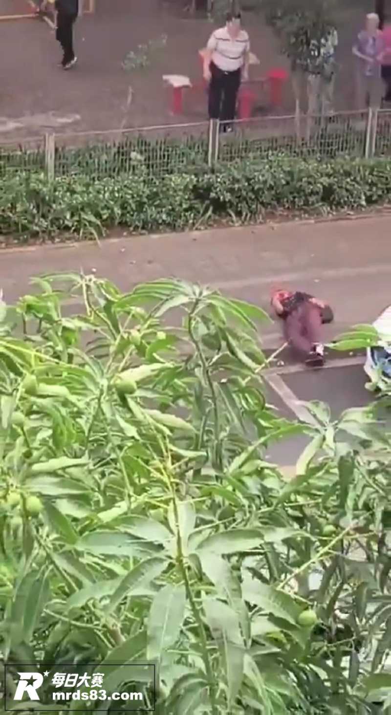 街头热瓜 惠州博罗公相关图片4