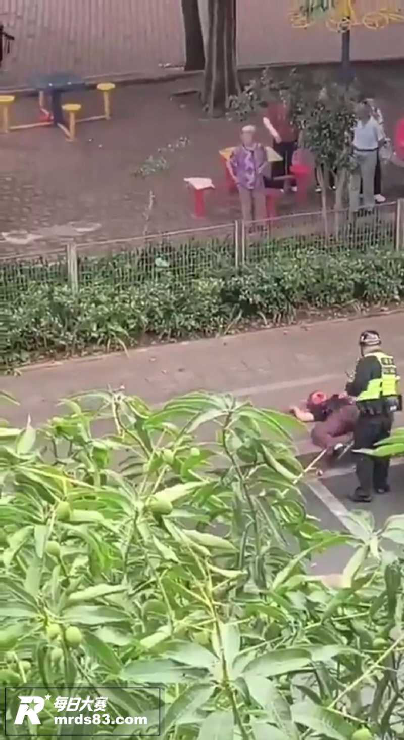 街头热瓜 惠州博罗公相关图片6