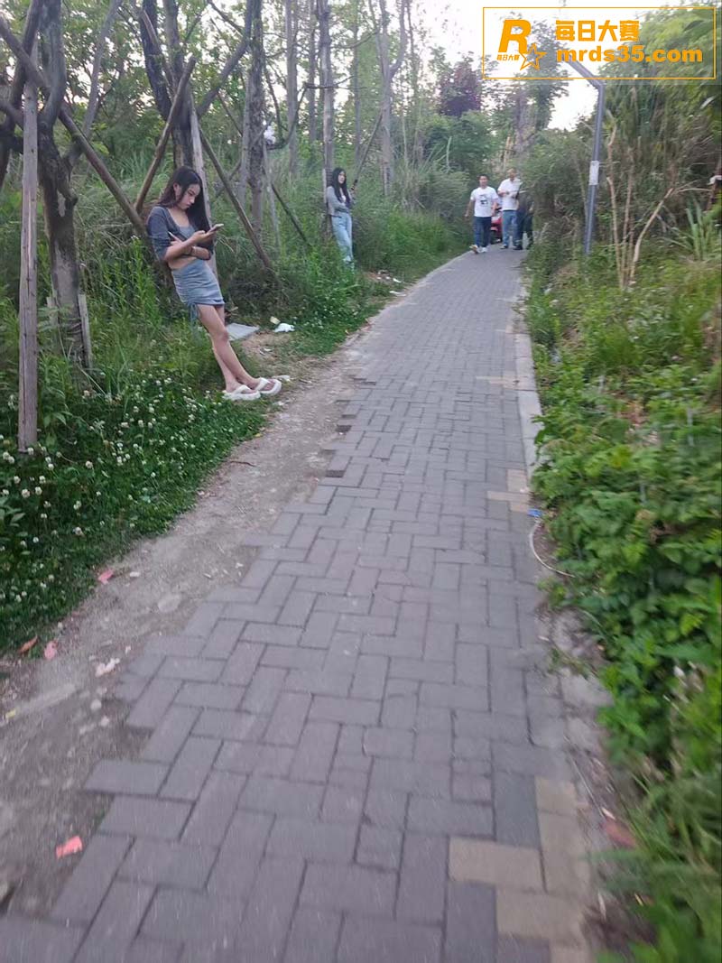 成都大久保公园后续 相关图片6