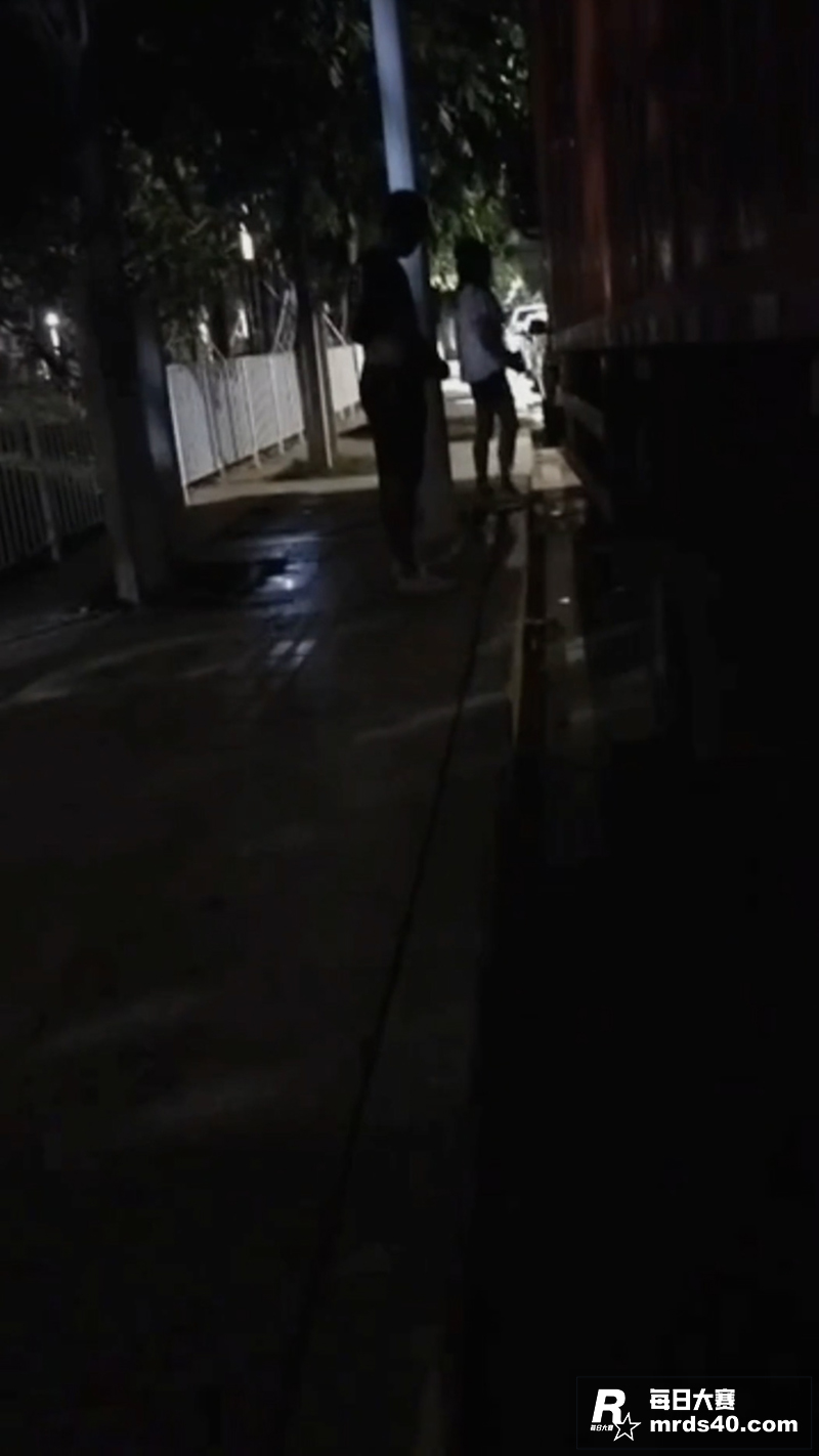 兄弟两人夜探站街女 相关图片5