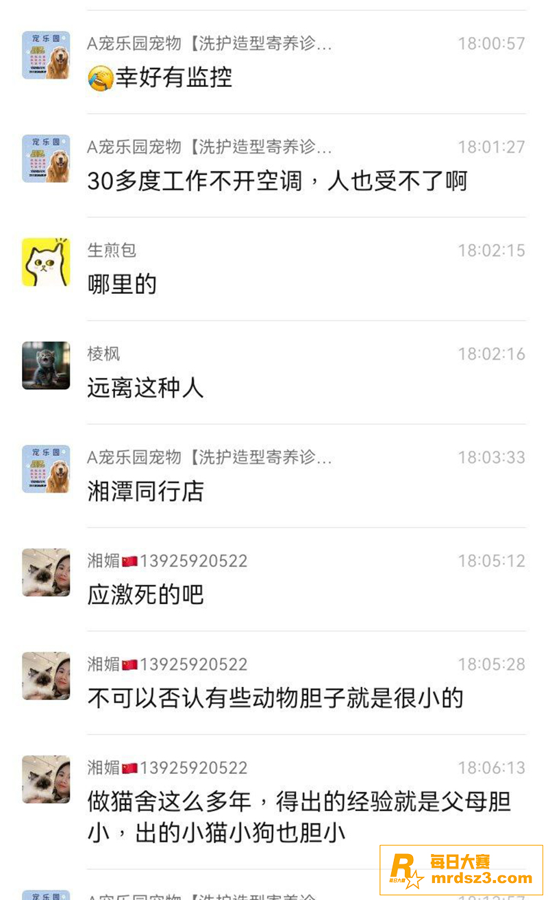 湘潭九华贝比利宠物店相关图片6