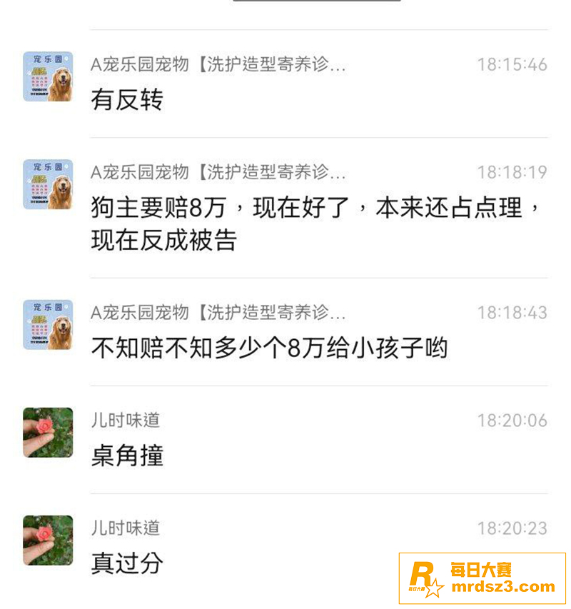 湘潭九华贝比利宠物店相关图片7