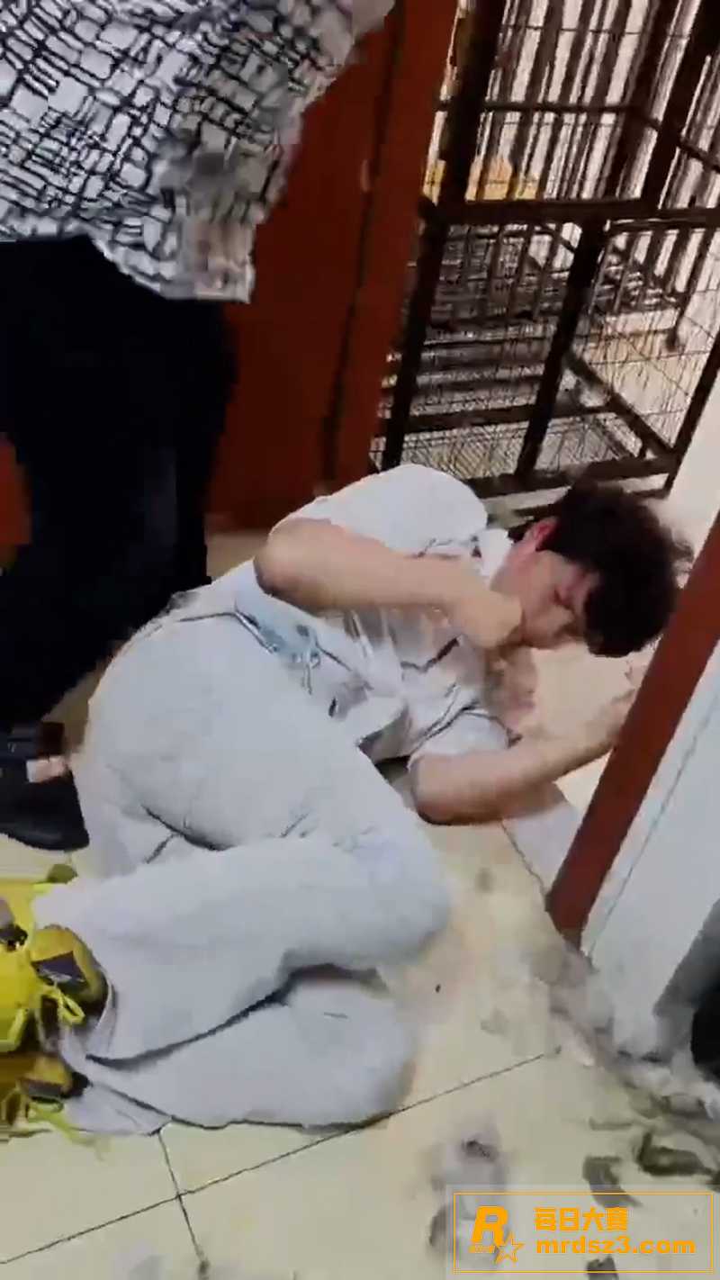湘潭九华贝比利宠物店相关图片12