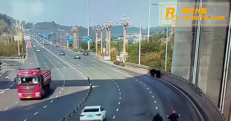 四川宜宾金沙江大桥突相关图片7
