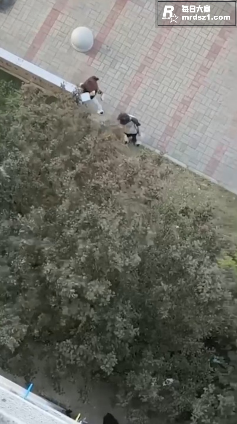 安徽合肥瑶海区 新华相关图片2