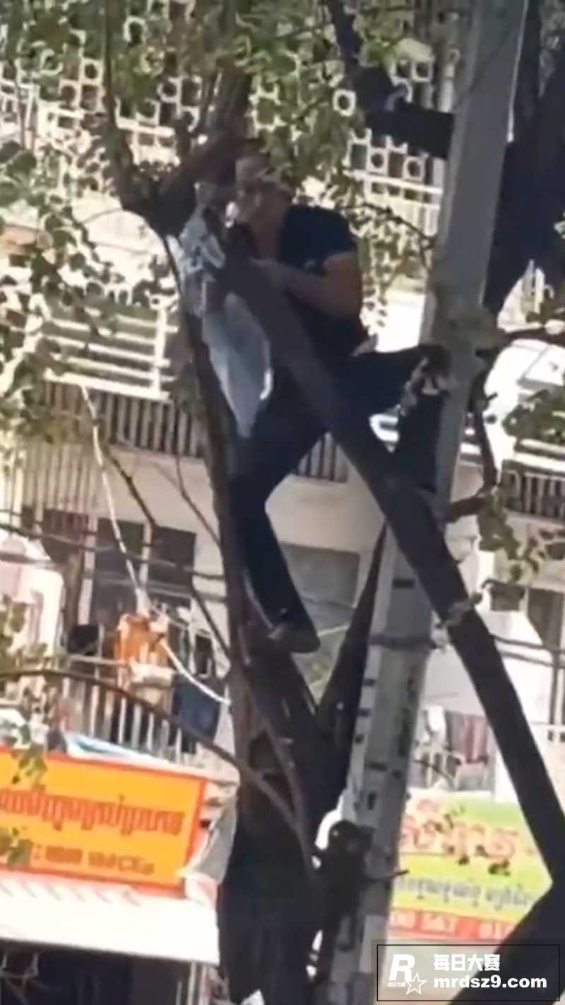 猎奇小屋 轻度重口 相关图片3