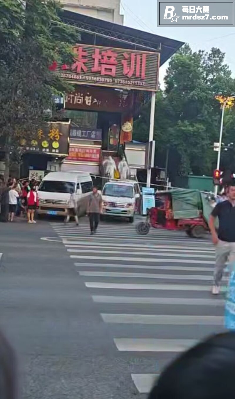 湖南石门步行街重大刑相关图片5