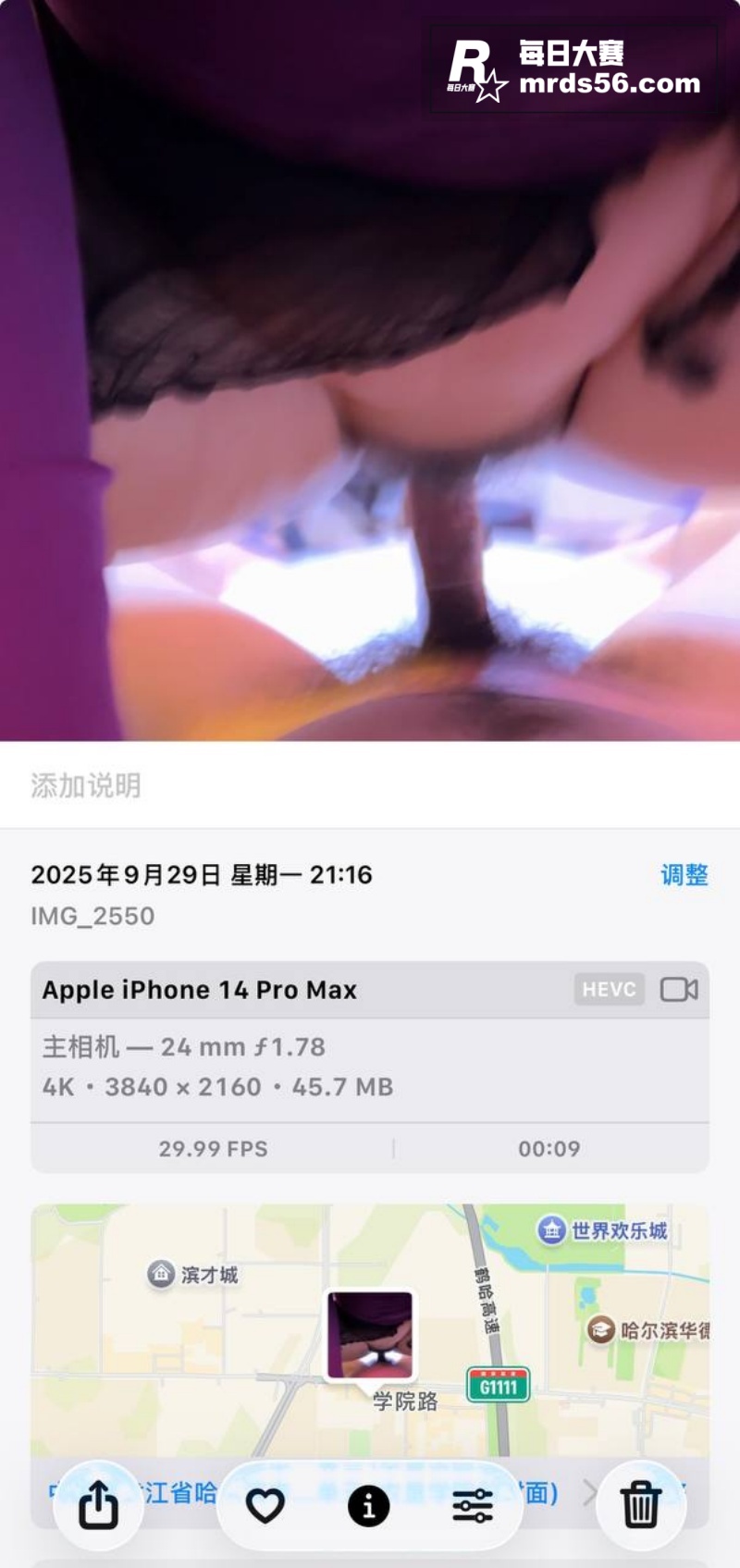 黑龙江哈尔滨极品骚货相关图片2