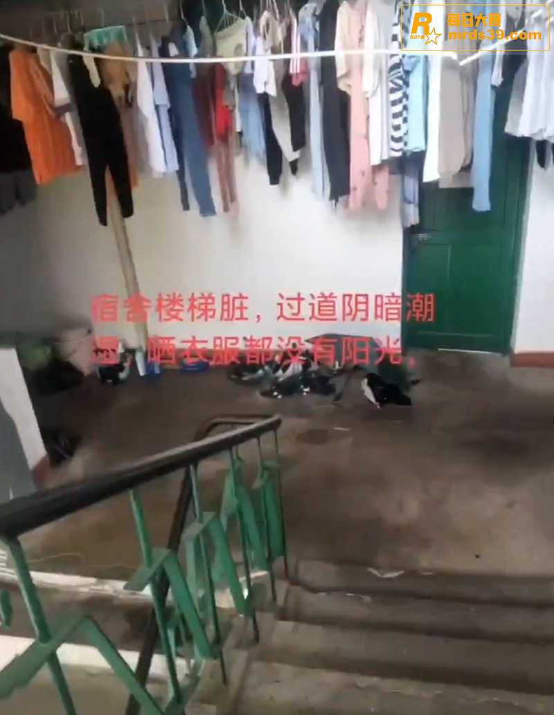黑学校曝光 湖南衡阳相关图片7