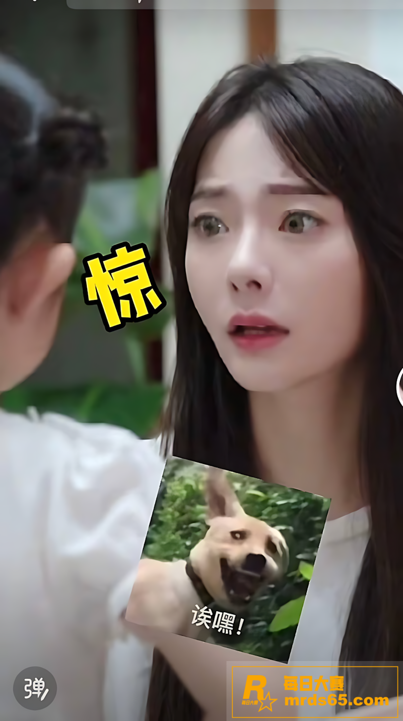 抖音百万粉网红 陈嘉相关图片16 抖音百万粉网红 陈嘉相关图片16