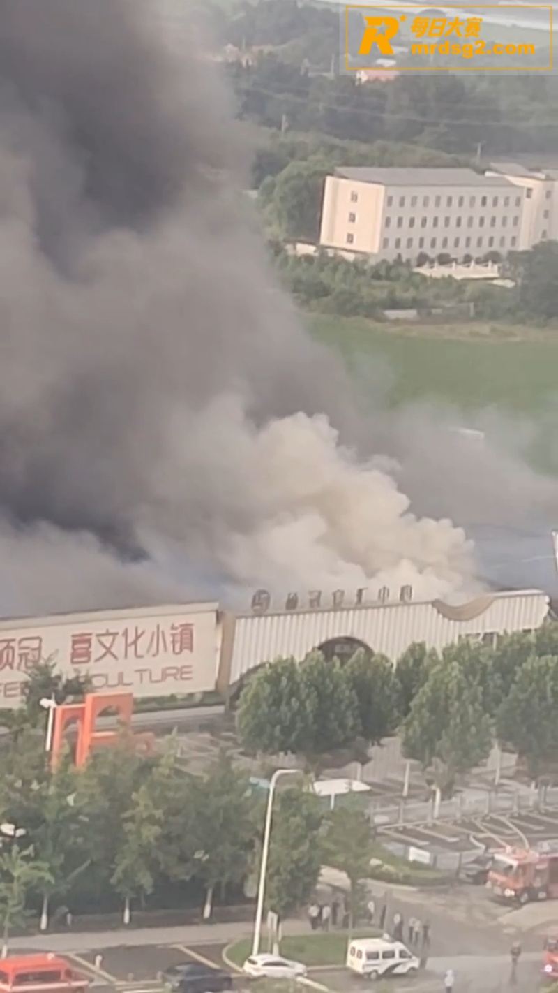 婚宴酒店突发火情 山相关图片4
