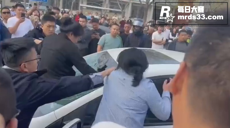 每日一抓！河北邢台原相关图片1