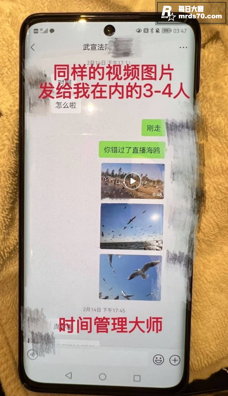 广西南宁武宣法院 渣相关图片17
