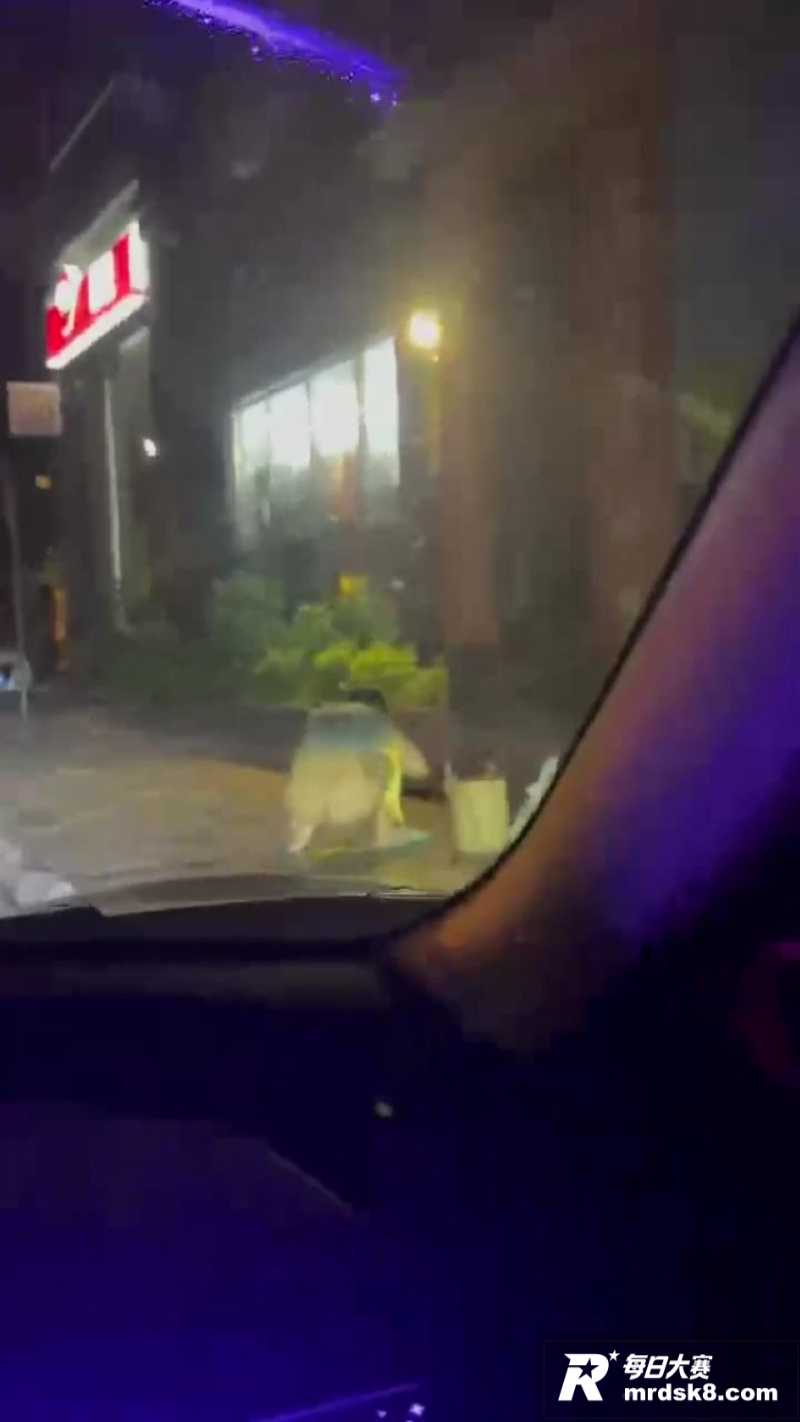 泰华裸女之主任的任务相关图片6