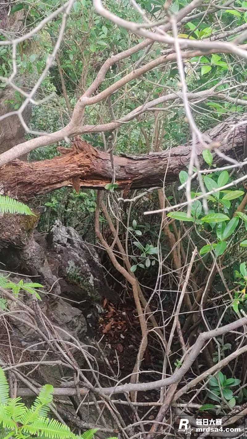 浙江45岁男老师登山相关图片3