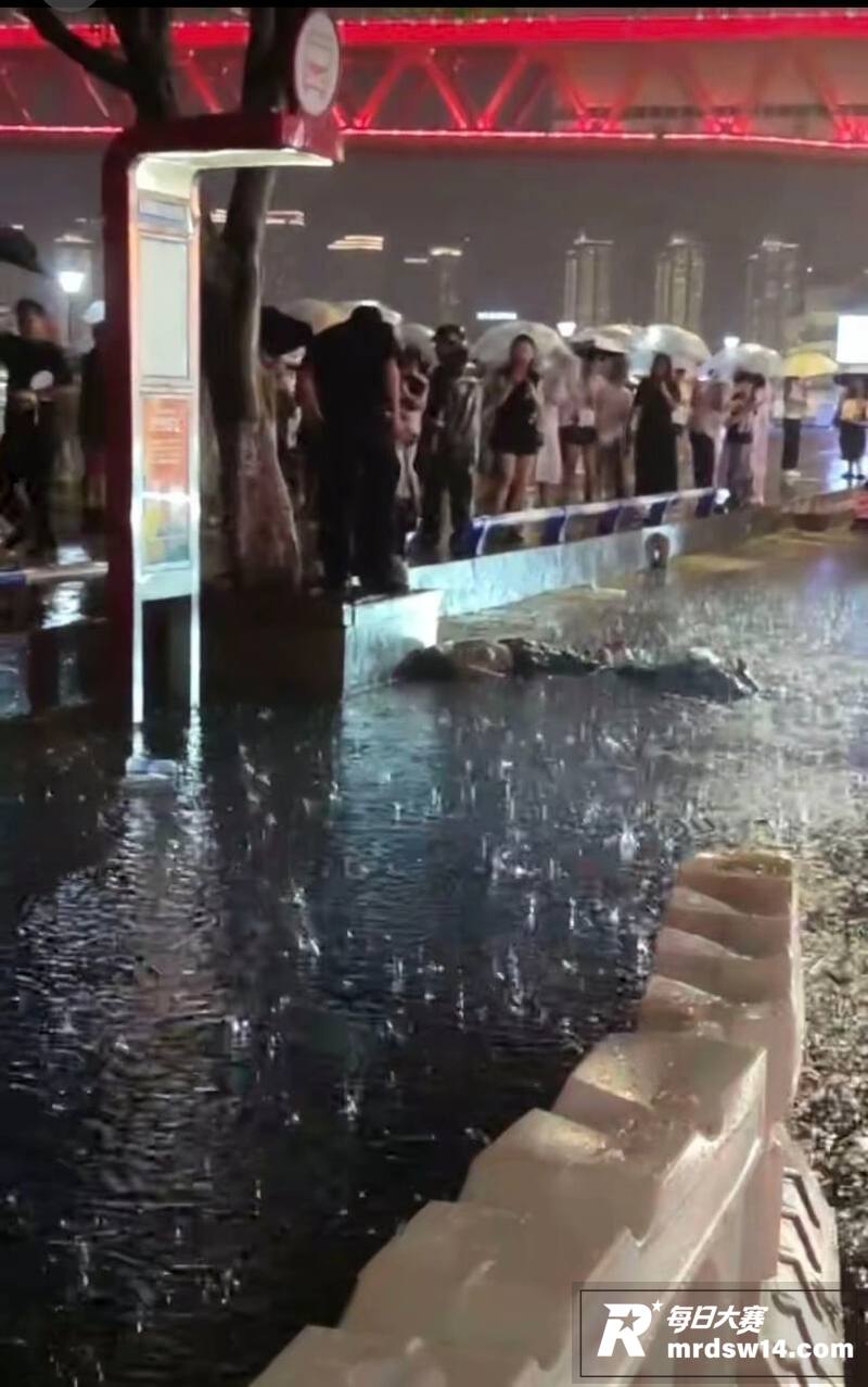 重庆洪崖洞突降暴雨 相关图片11