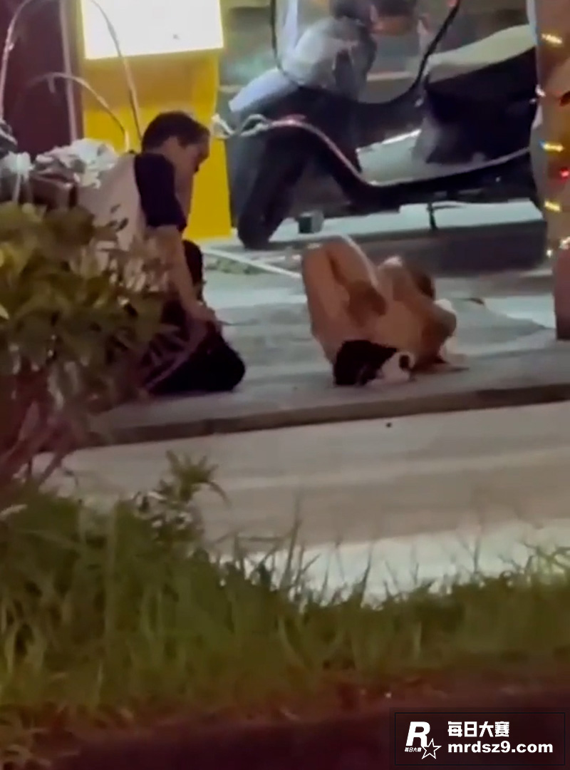 成都小仙女与男友吵架相关图片6