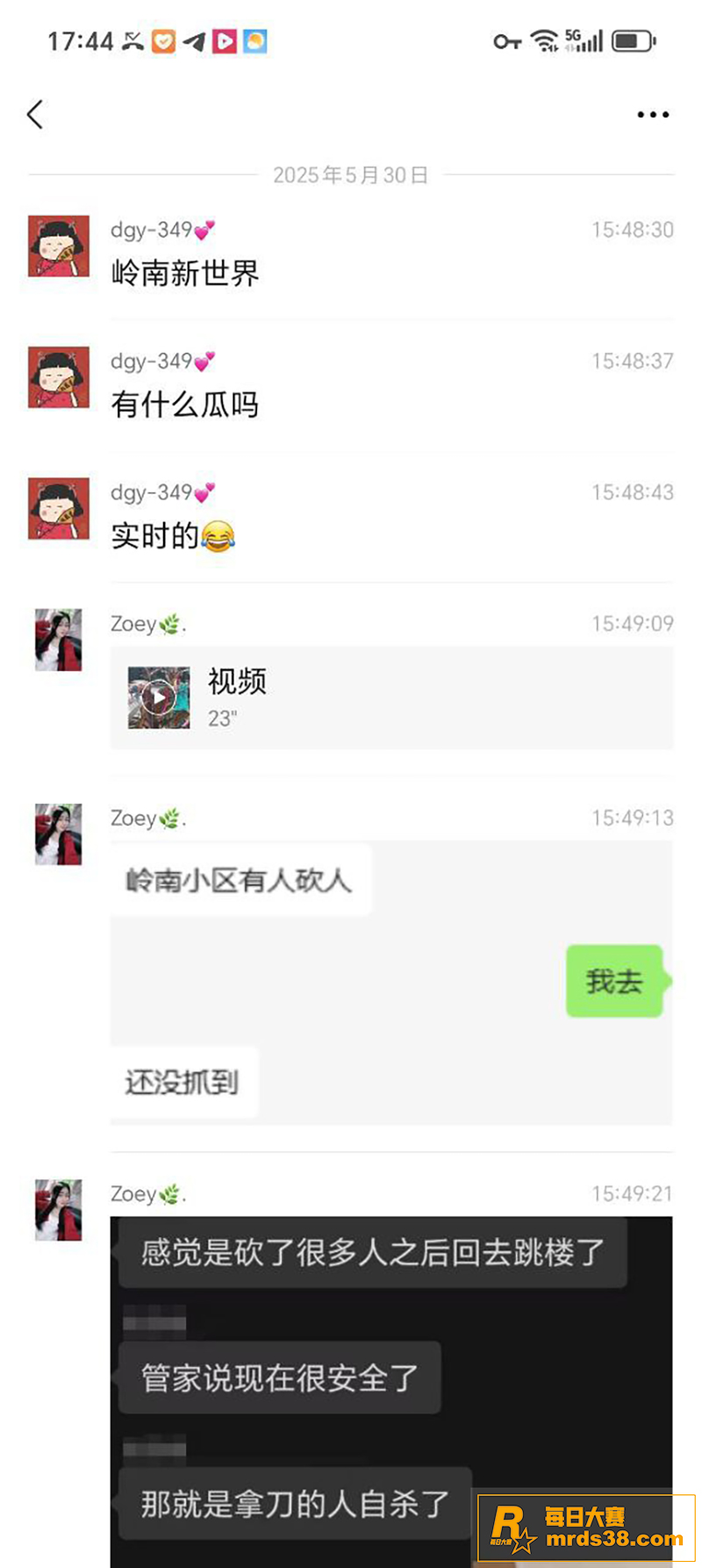 广东岭南新世界大瓜 相关图片1