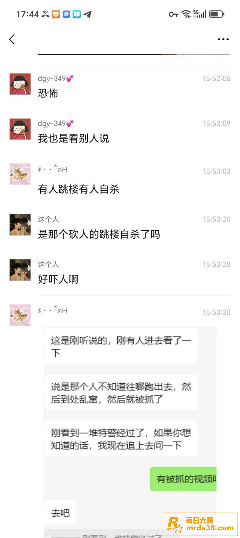 广东岭南新世界大瓜 相关图片3
