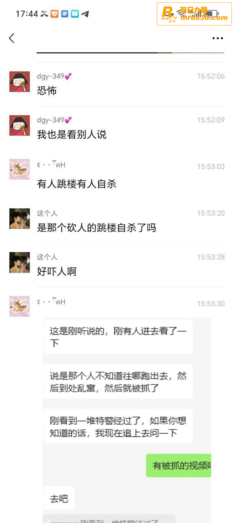 广东岭南新世界大瓜 相关图片4