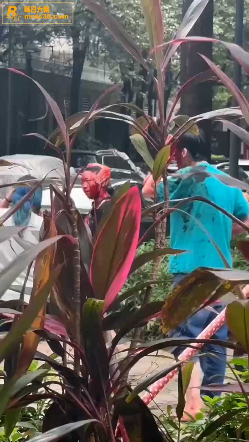 广东岭南新世界大瓜 相关图片6