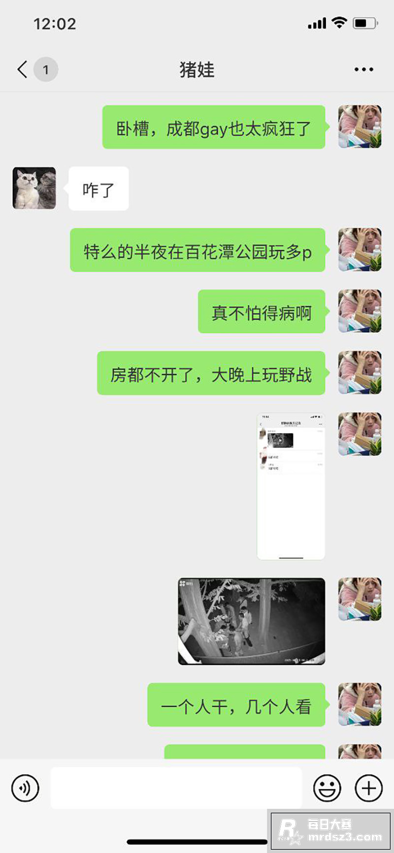成都大瓜！百花潭公园相关图片5
