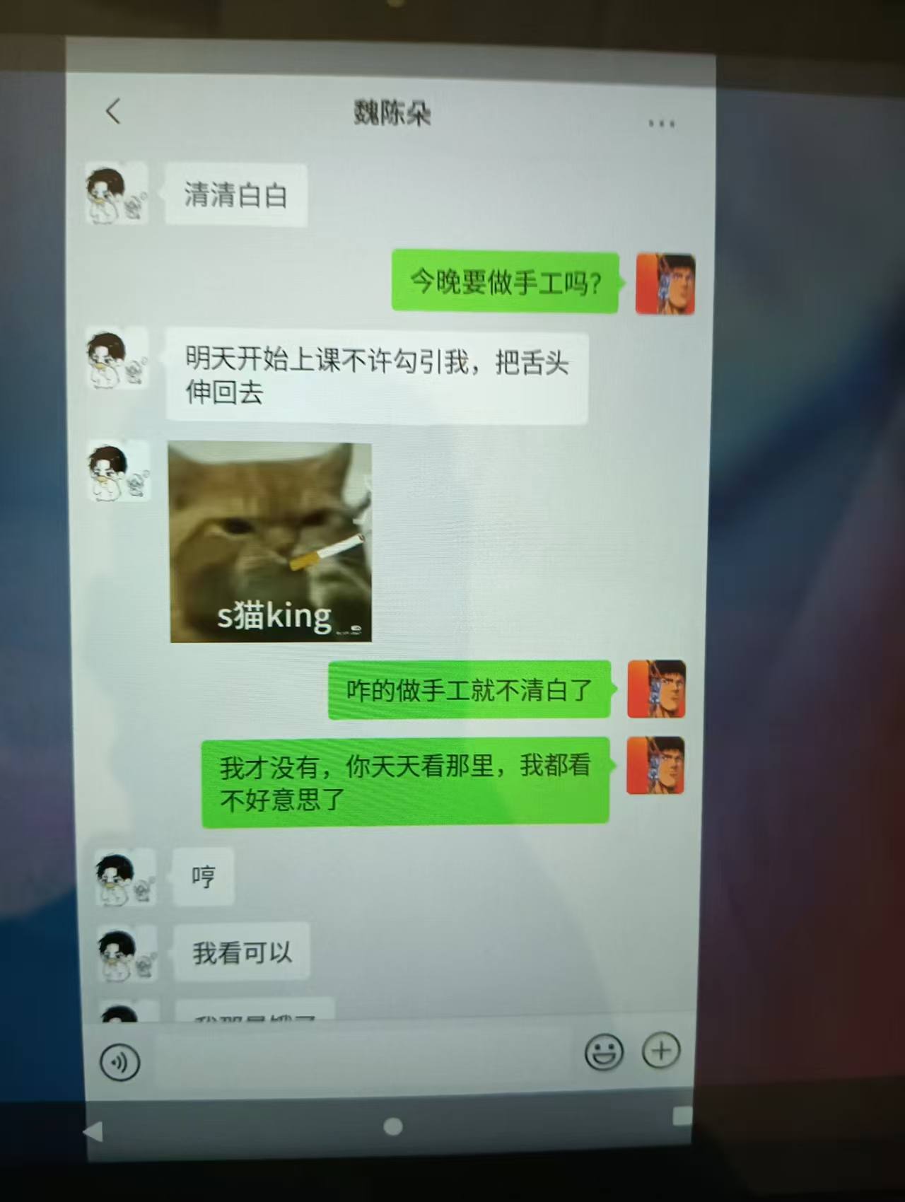 山东蓬莱二中鸟兽兽教相关图片4