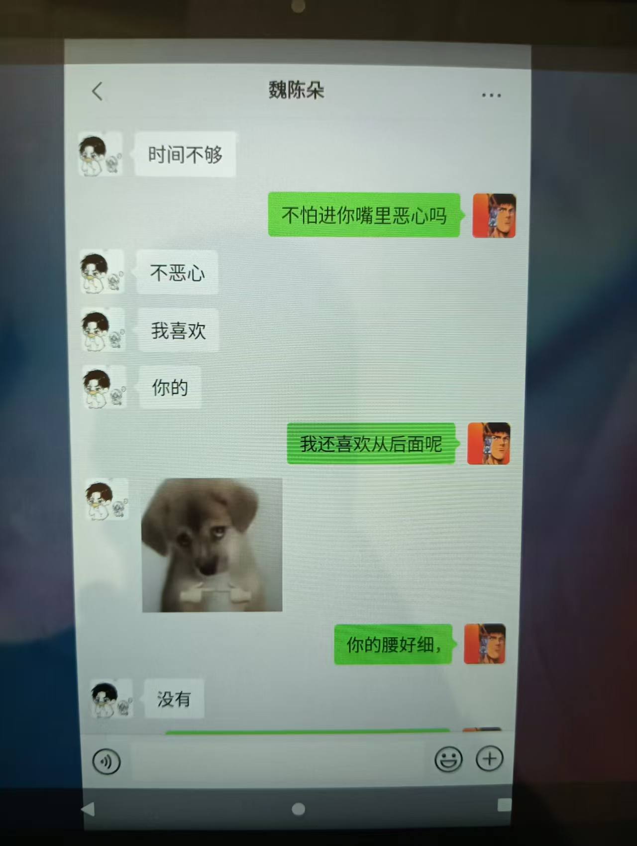 山东蓬莱二中鸟兽兽教相关图片6