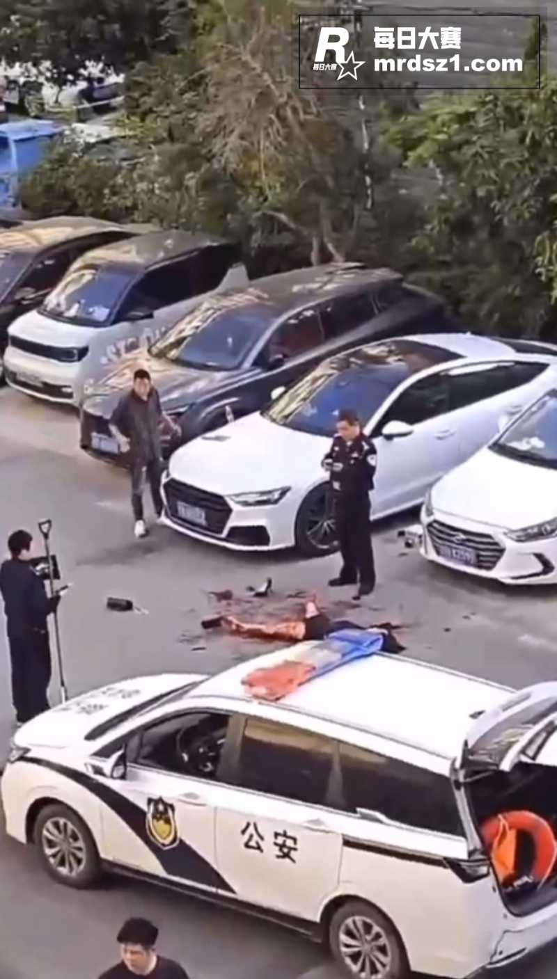景德镇梨树园北苑血案相关图片6