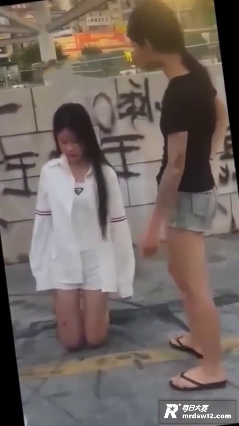 广西贵港平南中影南方相关图片11