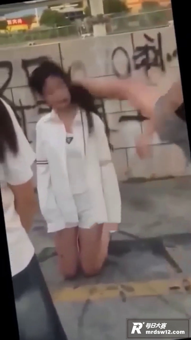 广西贵港平南中影南方相关图片13