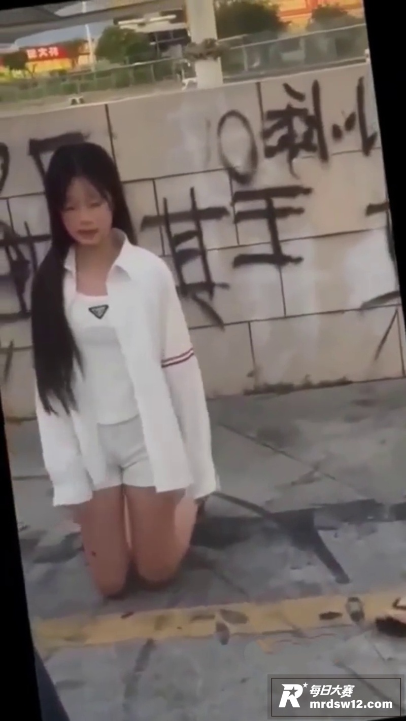 广西贵港平南中影南方相关图片15