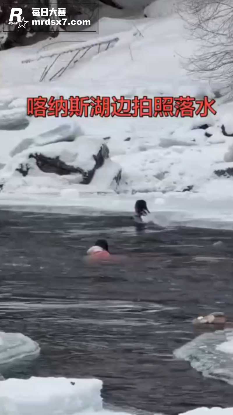 新疆喀纳斯景区一对母相关图片6