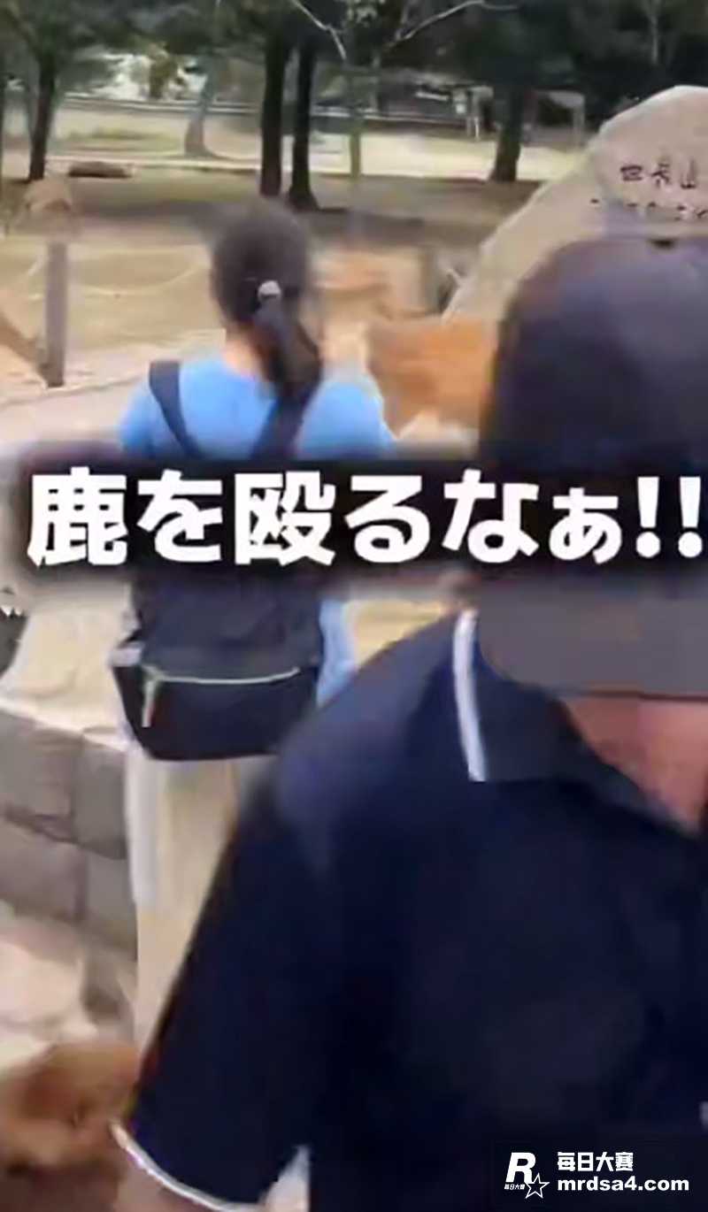 日本又整新活 奈良地相关图片3