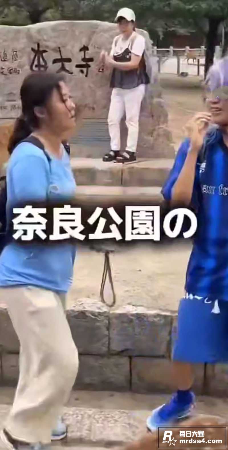 日本又整新活 奈良地相关图片4