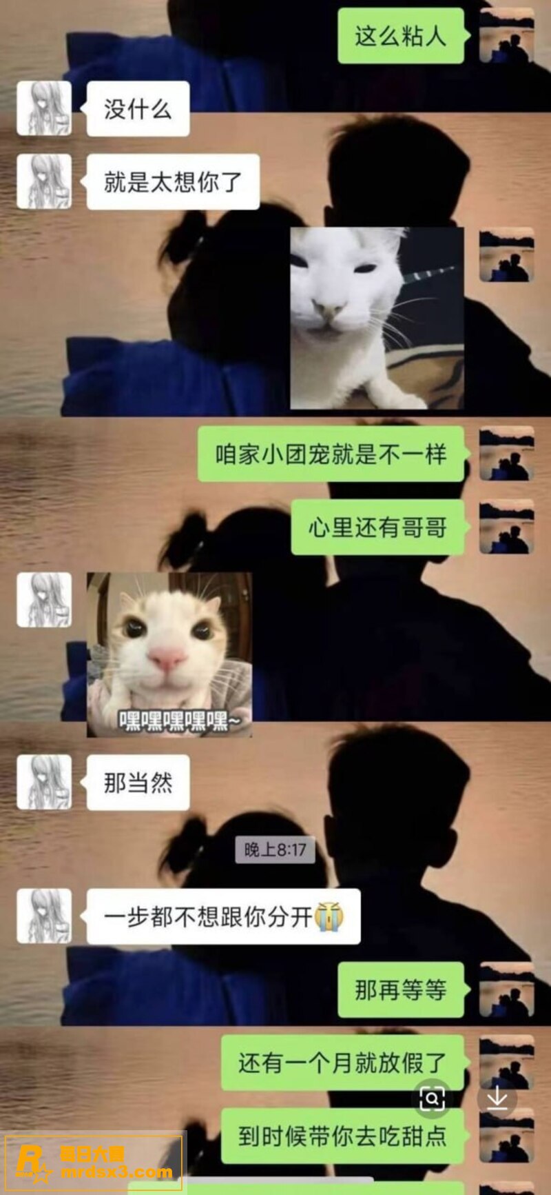 小仙女炸裂发言 跟亲相关图片2