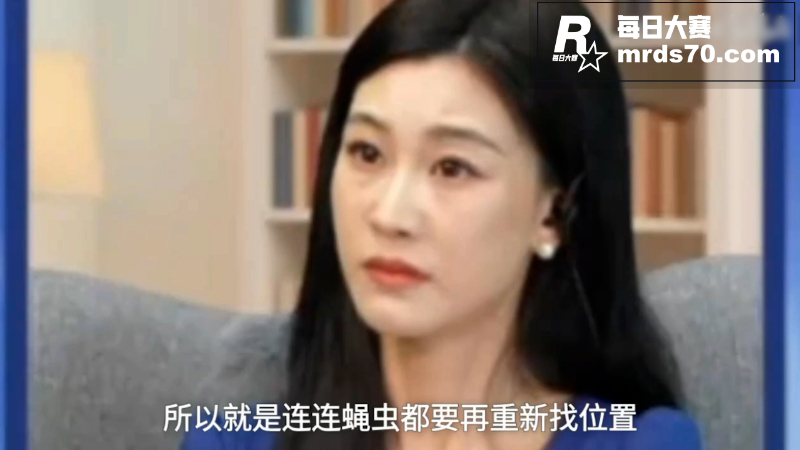 斯奎奇大王连线 沈逸相关图片7
