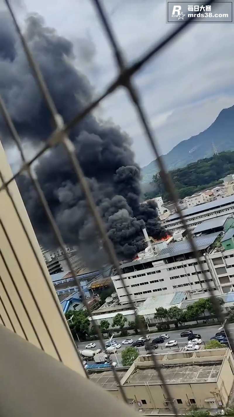 端午节东莞长安德政西相关图片2