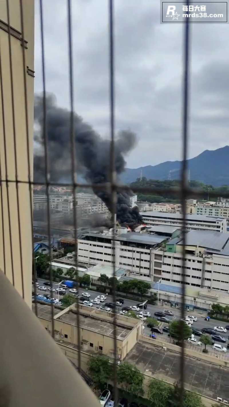 端午节东莞长安德政西相关图片3