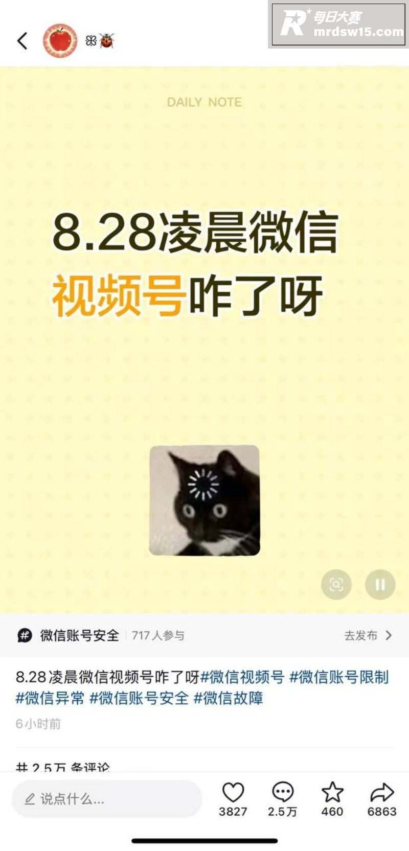 8月28日微信视频号相关图片2