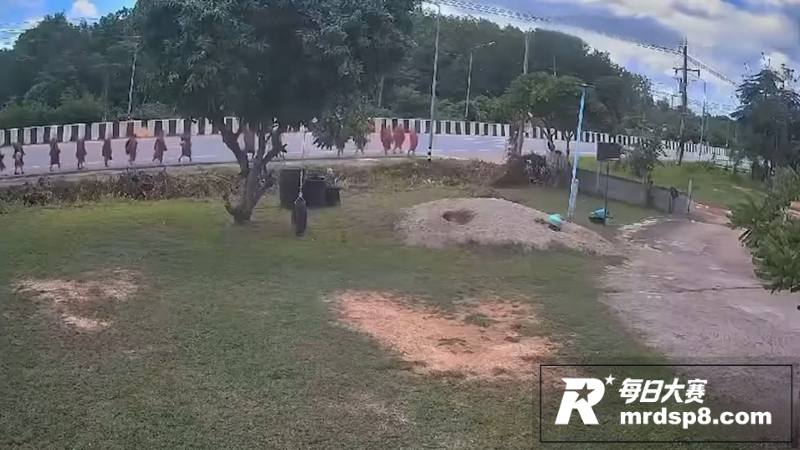 泰国11岁男孩偷开父相关图片8