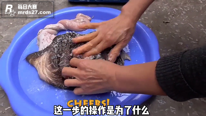 牛逼你肯定吹过 但不相关图片7