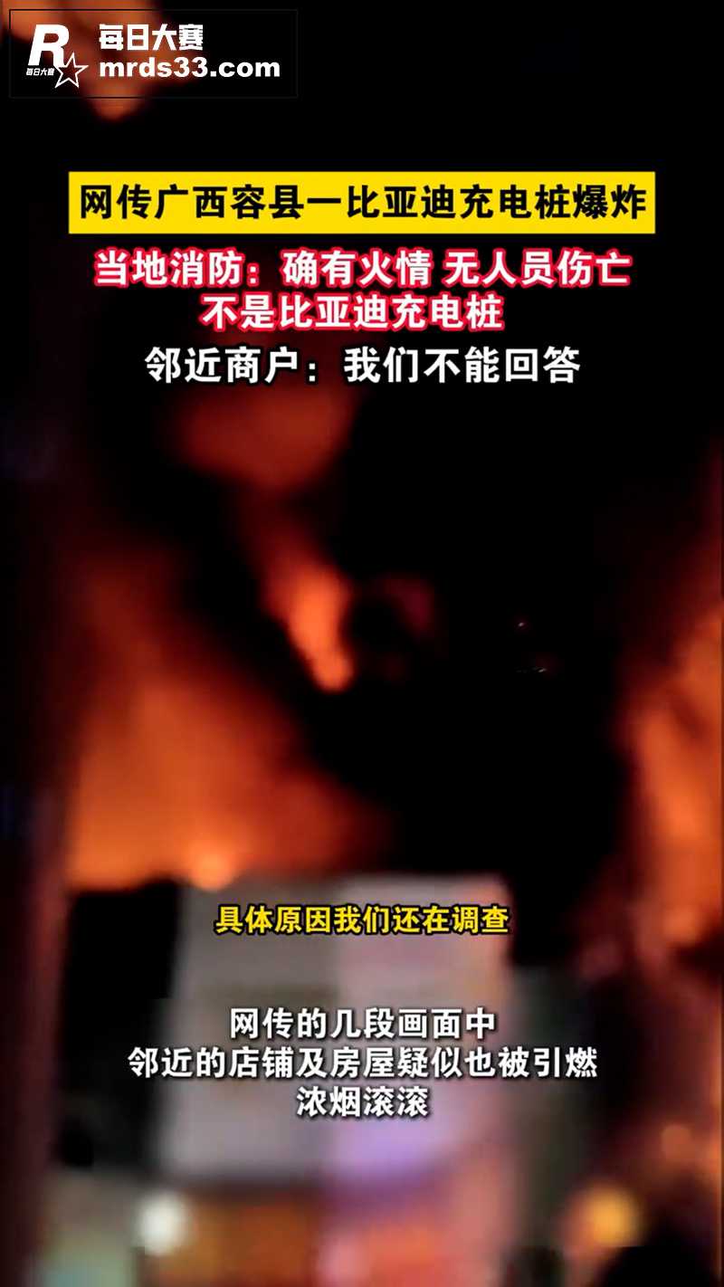 热瓜 广西容县比亚迪相关图片3