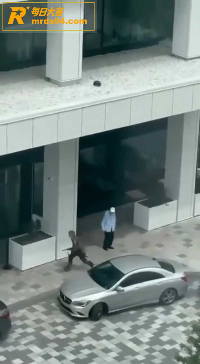 蒙特利尔年轻人痛恨黄相关图片3