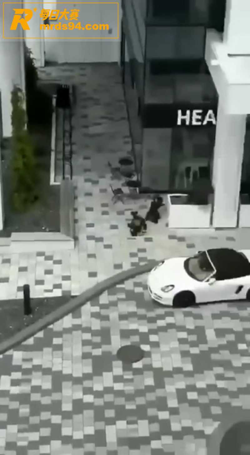 蒙特利尔年轻人痛恨黄相关图片4