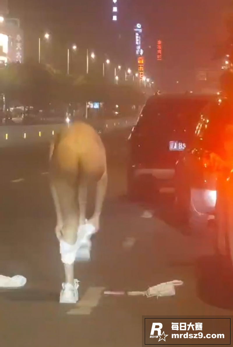 赛友投稿 女同街头吵相关图片5