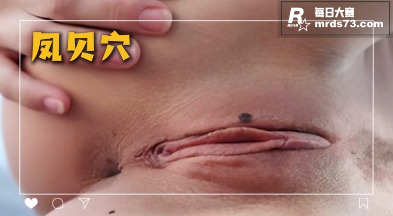 水果派名穴品鉴解说 相关图片2