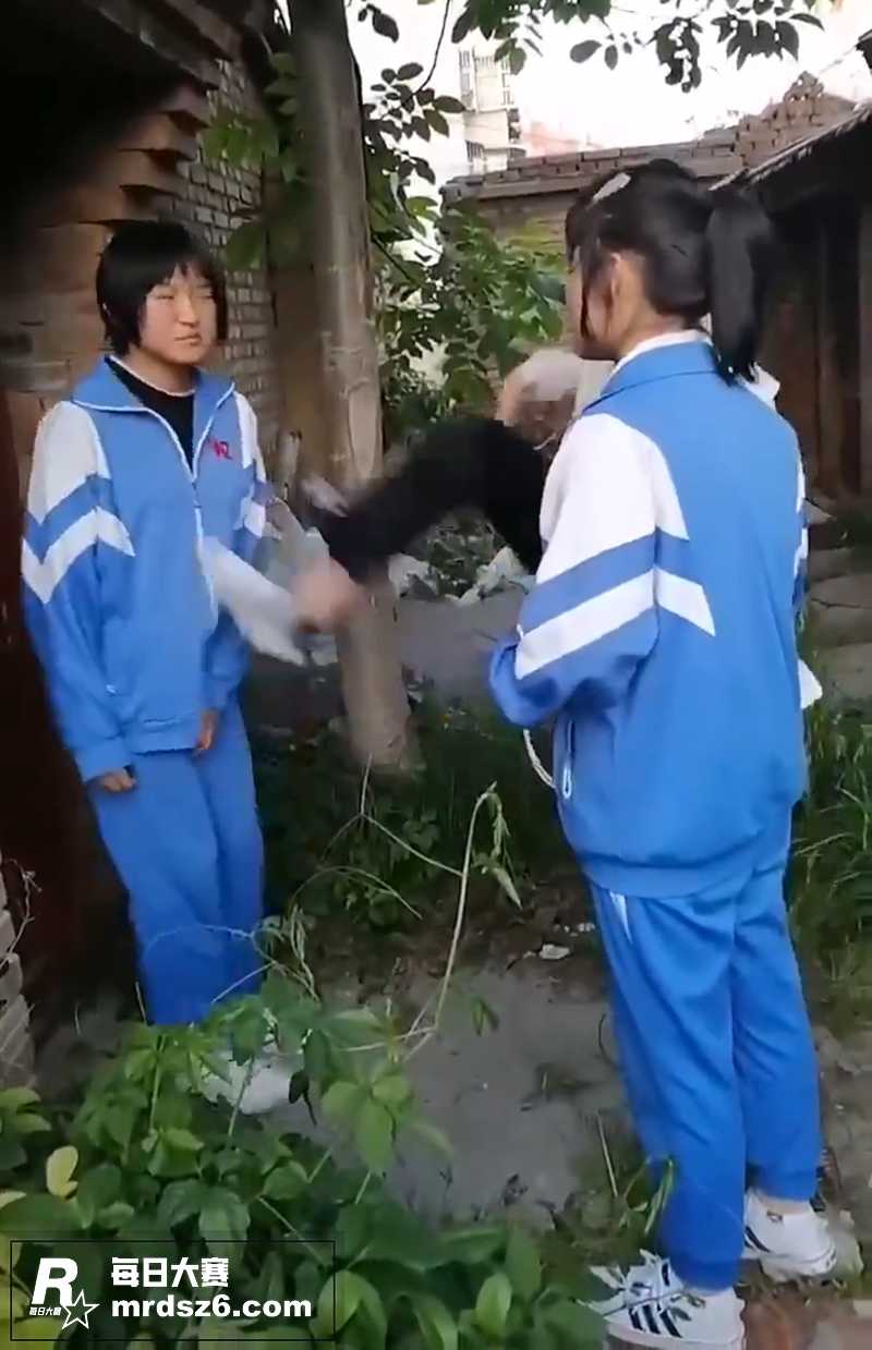 甘肃省艺考播音统考第相关图片2