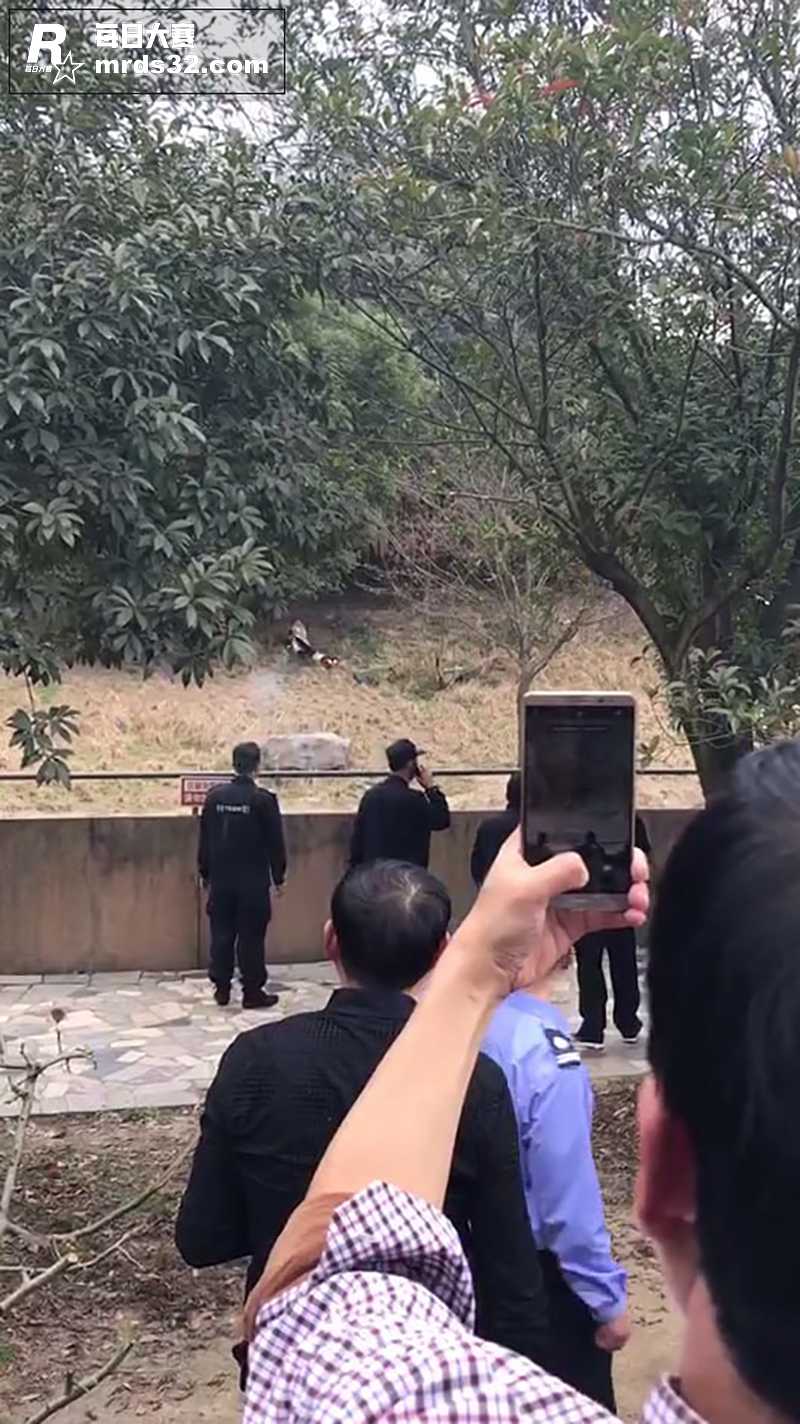 浙江宁波 雅戈尔动物相关图片1
