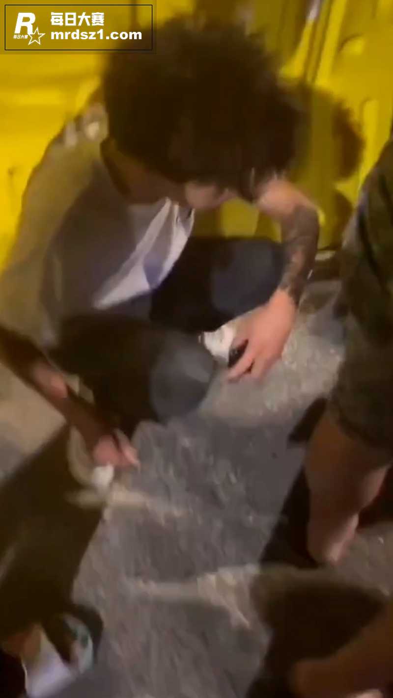 广东湛江中澳 精神小相关图片5